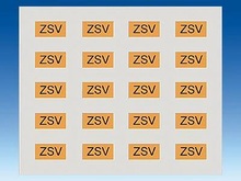   ZSV -   